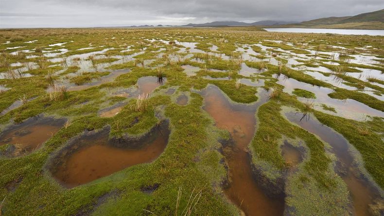 The Pew Charitable Trusts Nicolas Piwonka 1.jpg