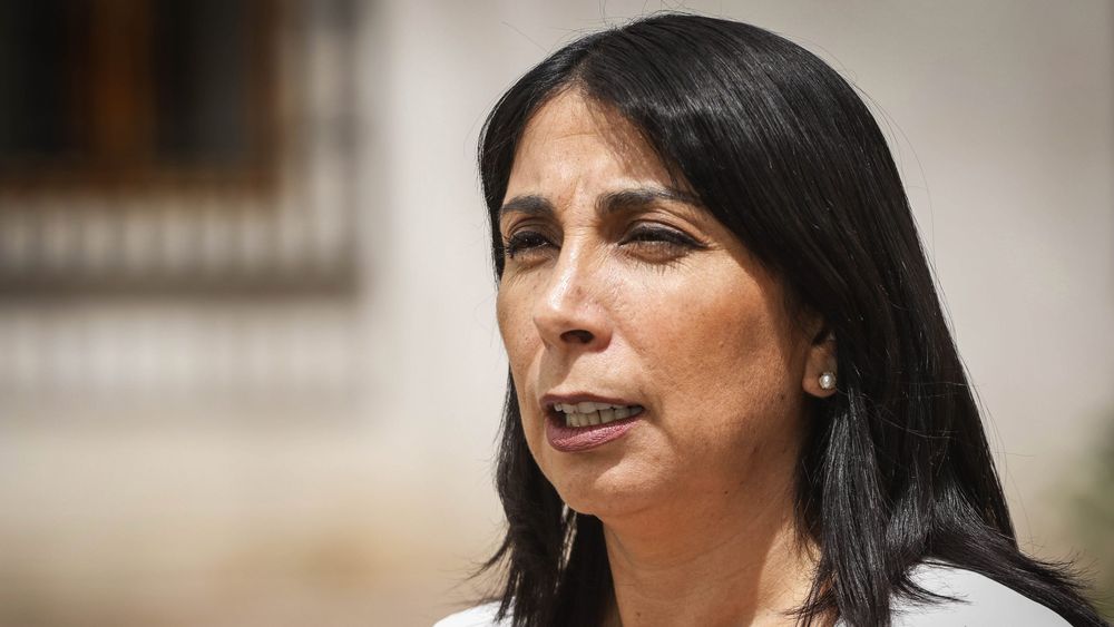 Rubilar por dichos de Piñera en promulgación de Ley Gabriela: Le pide a las mujeres una posición de confianza