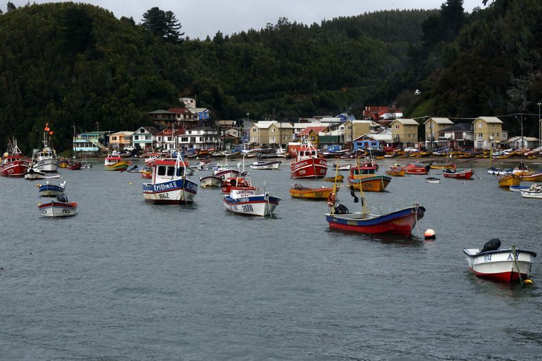 20954 a uno 1193122.jpg