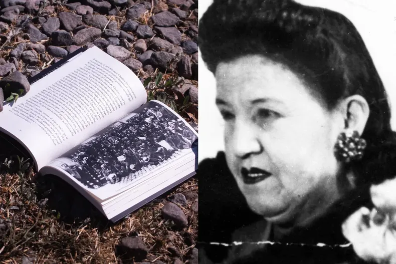 15522 diseno sin titulo 2025 05 09t221908.webp