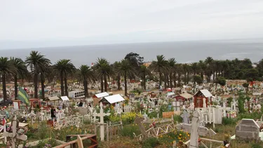 Buscan en cementerio de Playa Ancha restos del sacerdote chileno-británico Miguel Woodward asesinado en la dictadura