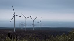 Más del 50% de la generación del Sistema Eléctrico Nacional vino de energías renovables en julio