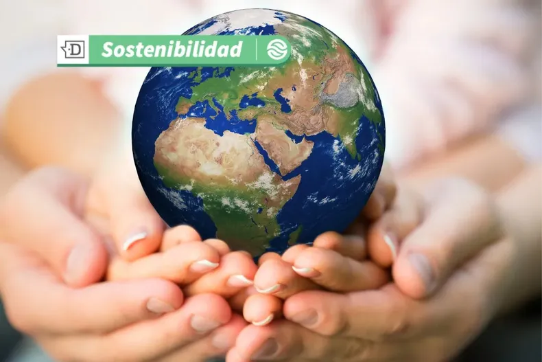 19890 diseno sin titulo 2025 07 29t153619.webp