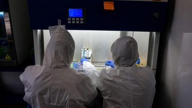 Tras variante ómicron: Sudáfrica declara oficialmente la cuarta ola de contagios COVID-19