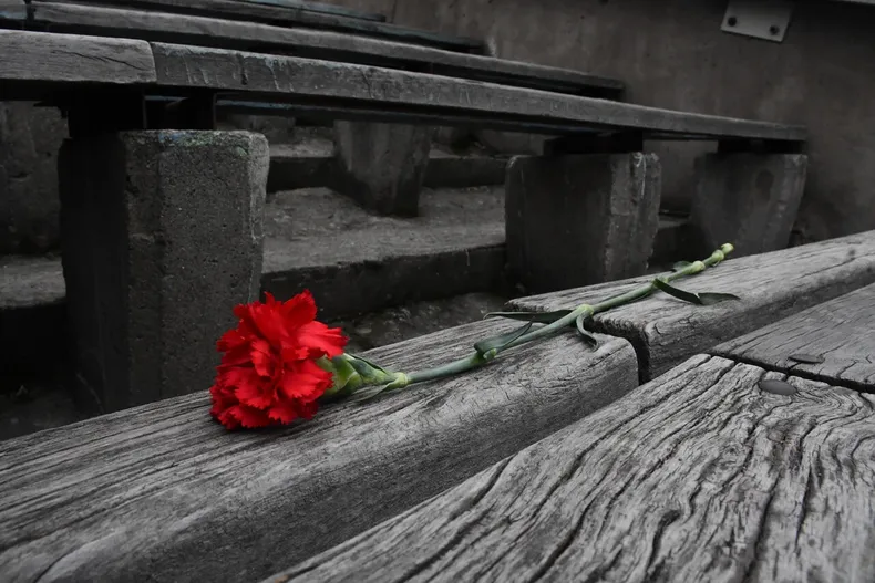 10639 a uno 1498254.webp