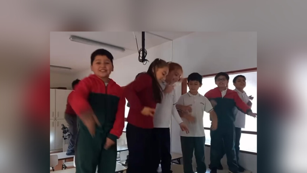 VIDEO | Hongo rap: escucha la canción de niños de 4to básico de Pucón sobre el reino Fungi