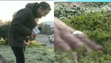 Periodista de matinal pierde su anillo de compromiso en pleno despacho: Me van a echar