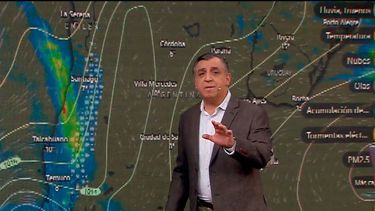 Iván Torres avisa por regreso del viento a Santiago: “40 km/h es suficiente para que bote árboles viejos”