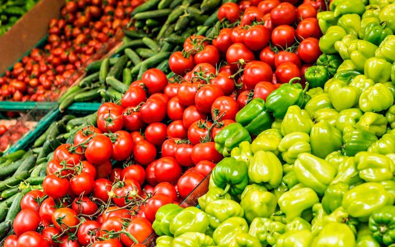 Agroalimentaria 1.jpg