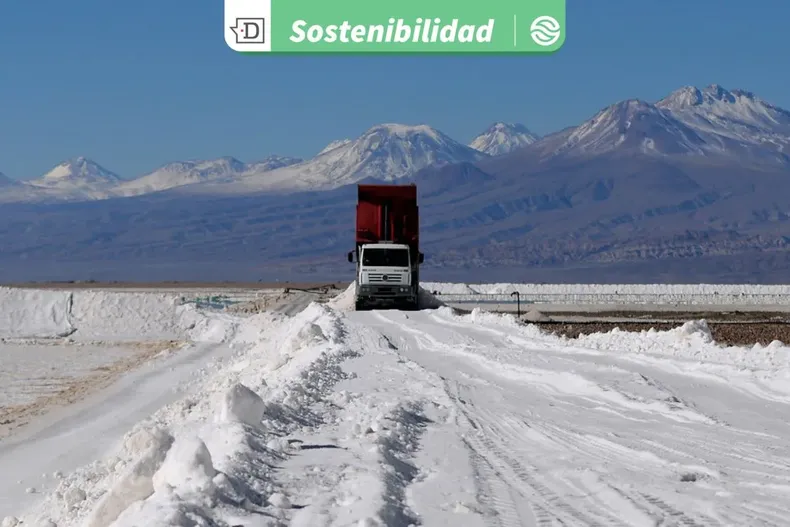 22375 diseno sin titulo 2025 09 10t160712.webp