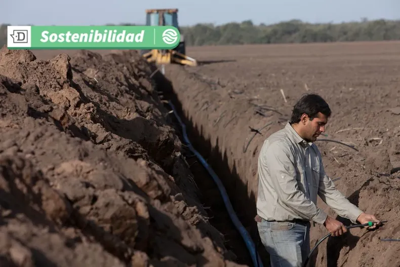 18542 diseno sin titulo 2025 07 03t153354.webp