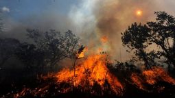 Los incendios en la Amazonía de Brasil dejan a Sao Paulo en la oscuridad