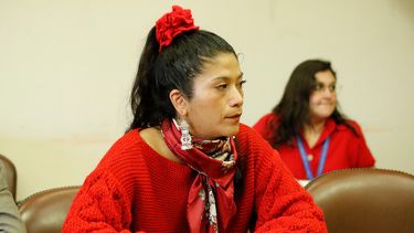 El Desconcierto | Ericka Nanco.jpg