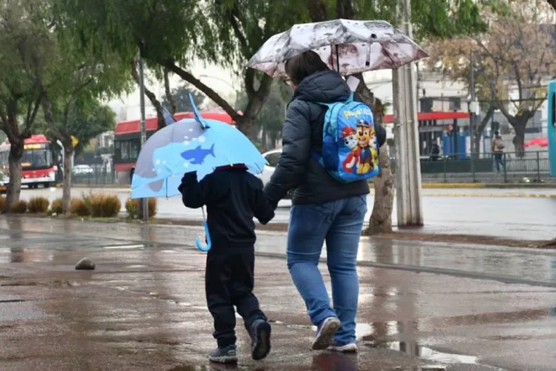 17304 diseno sin titulo 32 1.webp