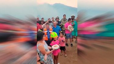 El Desconcierto | bomberos.jpg