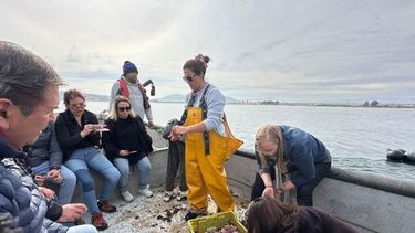 Productos del mar más frescos y baratos: Unión de mujeres pescadoras de Tongoy, Terminal Pesquero y Seremi de Economía buscan lograrlo