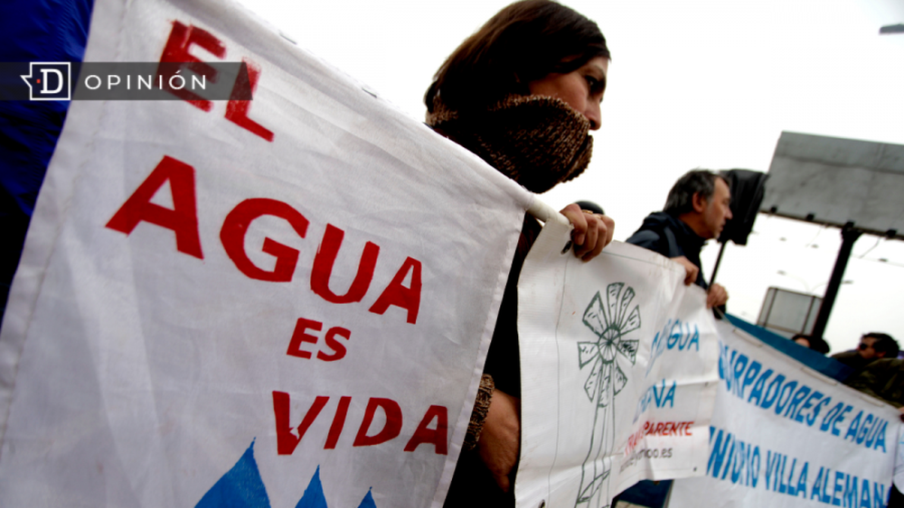 Activismo Ambiental: Pieza clave en la urgencia climática y de biodiversidad