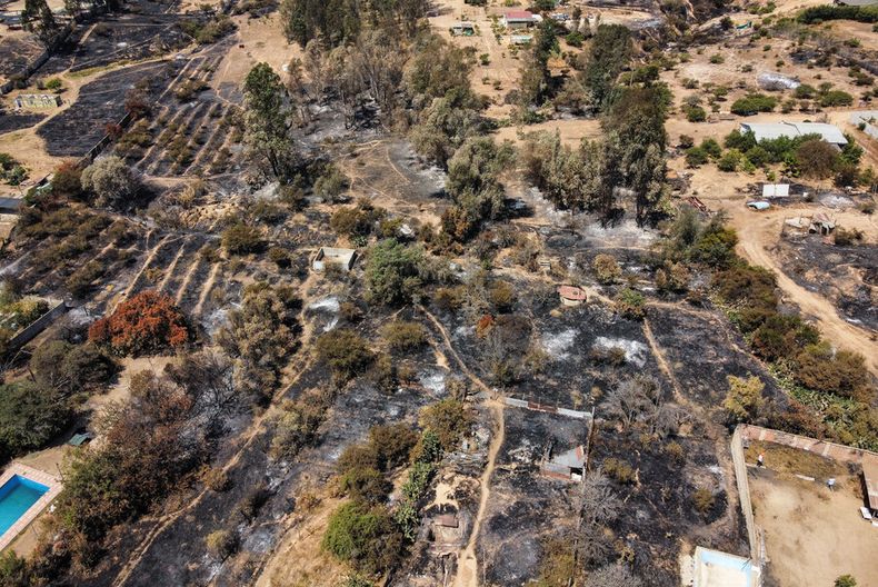 3941 incendios forestales.jpg