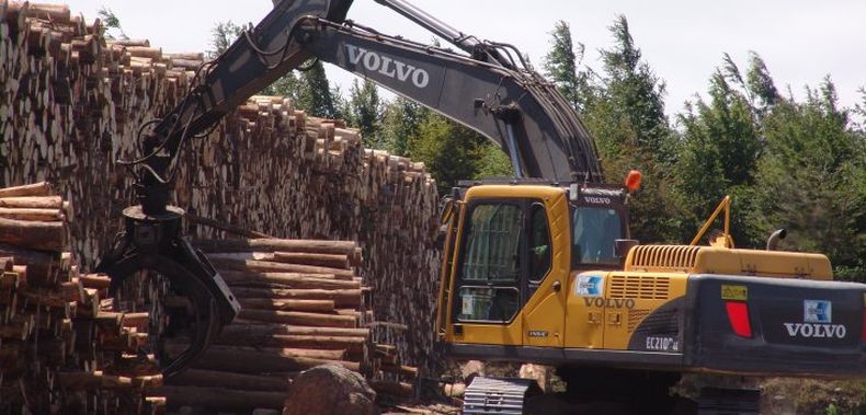 empresa forestal.jpg