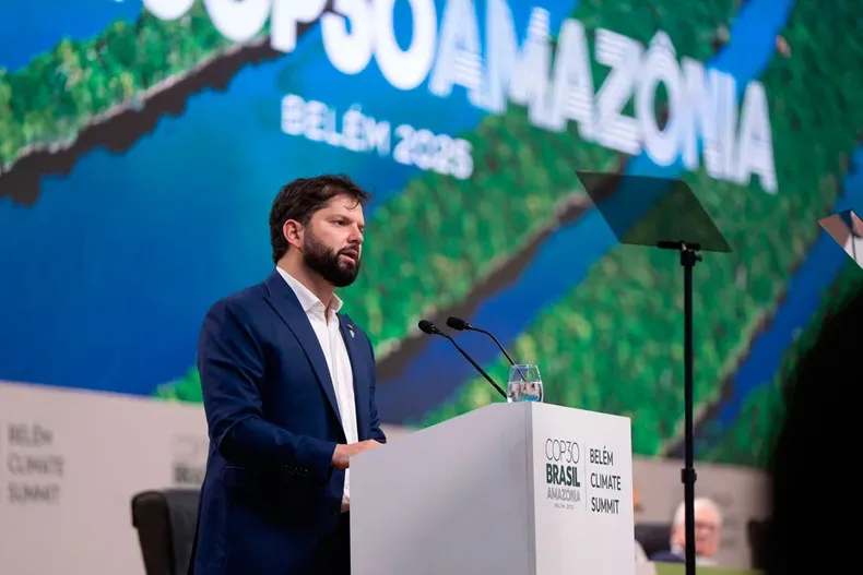 25380 boric cop.webp