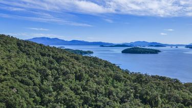 La sostenibilidad y los negocios pueden generar efectos positivos. La sostenibilidad y los negocios pueden generar efectos positivos.