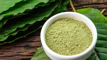 Expertos preocupados por el Kratom, droga con alto poder adictivo que llegó a Chile: Es letal