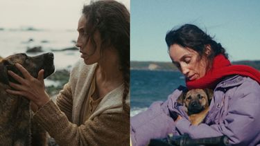 Yuri gana el Palm Dog 2026 en le Festival de Cannes - Instagram @domingasotomayor