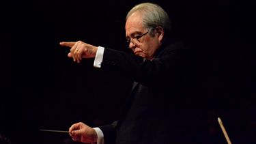 El Desconcierto | Guillermo Rifo.jpeg