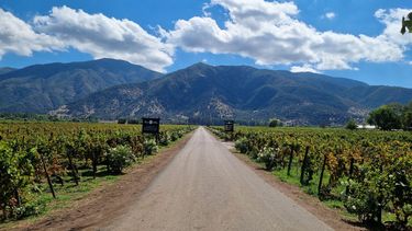 Turismo sustentable en Chile: Un recorrido en tren a por los vinos orgánicos del valle de Colchagua Turismo sustentable en Chile: Un recorrido en tren a por los vinos orgánicos del valle de Colchagua