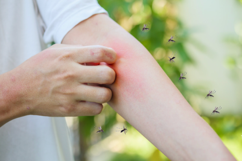 esta chile preparado para una brote de dengue cambio climatico pone al pais en desventaja.png