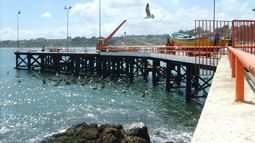 A la playa con audífonos: Municipalidad de El Quisco prohíbe el uso de parlantes en espacios públicos