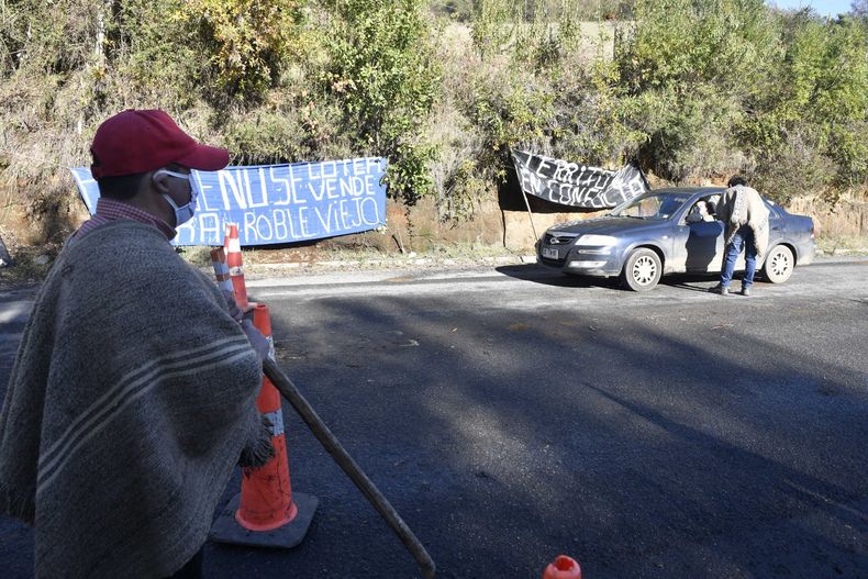 A_UNO_1185723 scaled.jpg