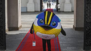 El Desconcierto | y si fiu no era la mascota oficial las opciones que quedaron en carrera por santiago 2023.jpg