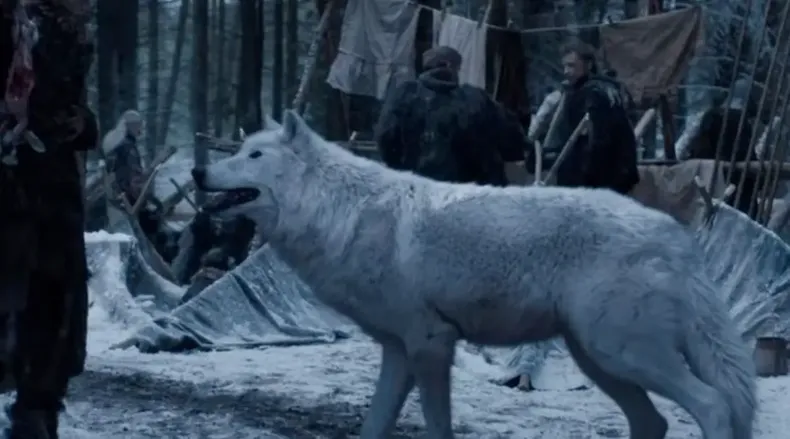 13992 lobo huargo de casa stark.webp