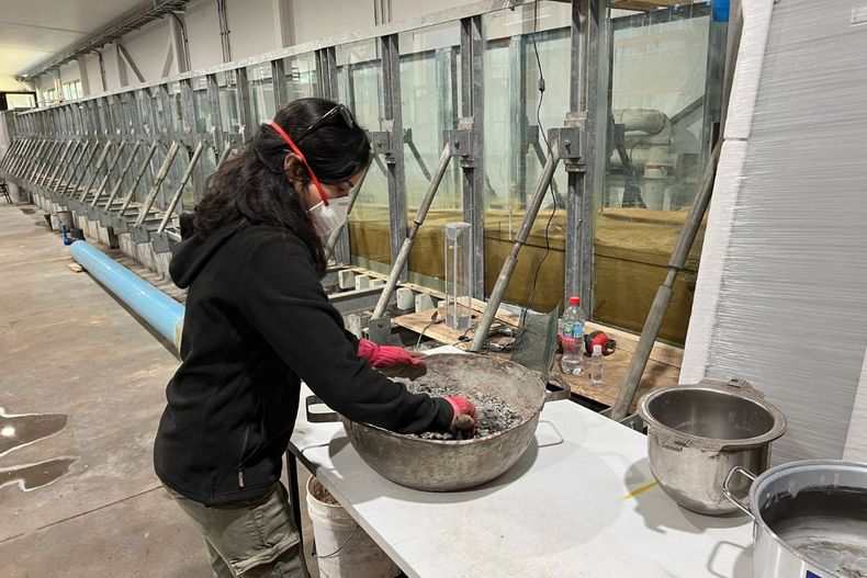 Diseño sin título - 2026-04-13T140615.496