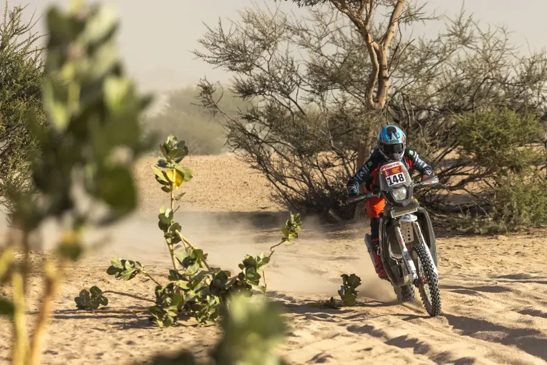 9694 tomas de gavardo 12.webp