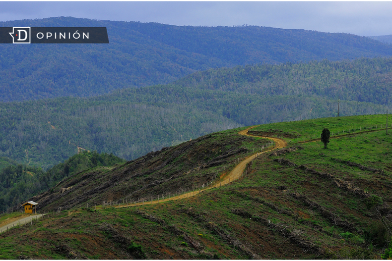 Caminos forestales.png