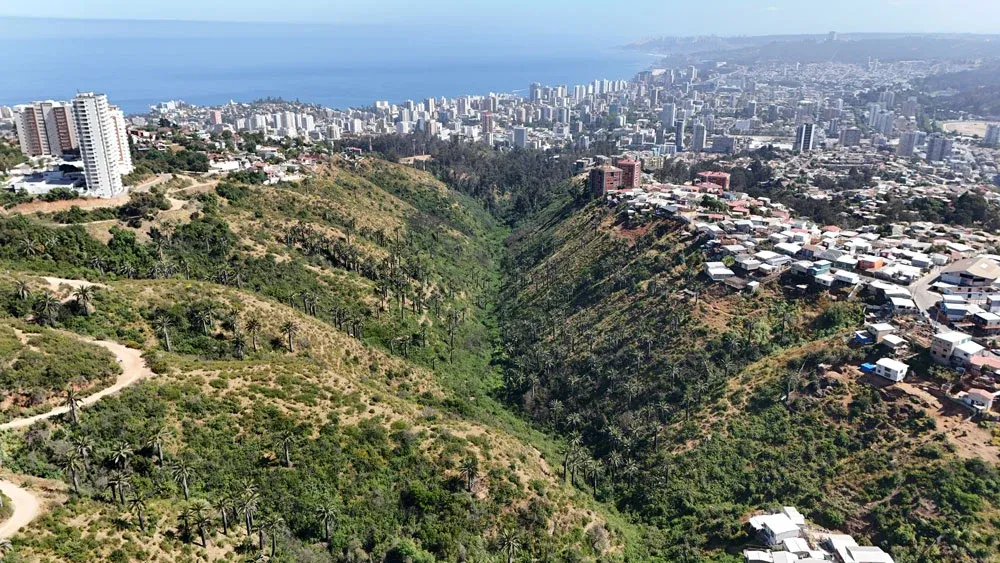 Ministra Rojas declara Humedal Urbano Kan Kan y queda bajo protección un nuevo ecosistema en la Región de Valparaíso
