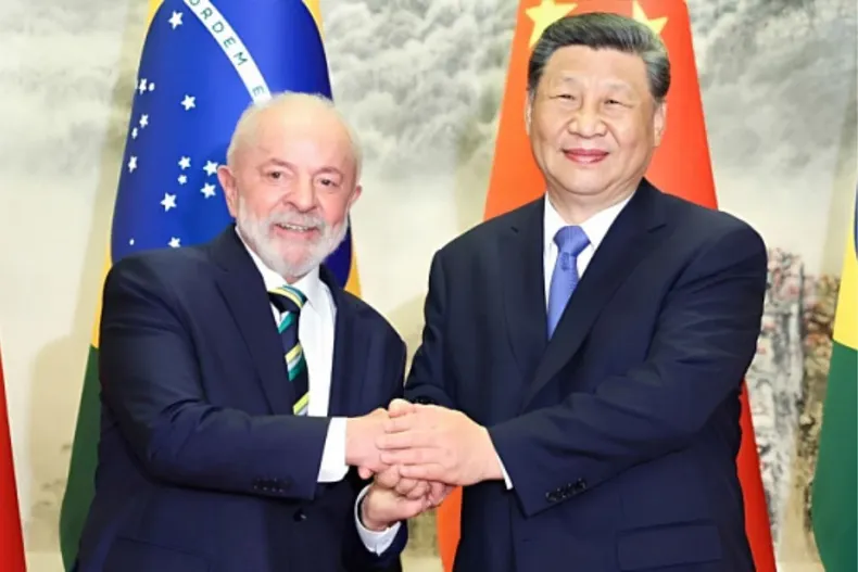 20833 diseno sin titulo 77.webp