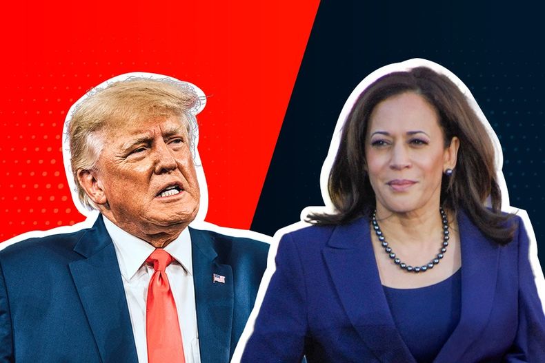 4250 trump harris.jpeg