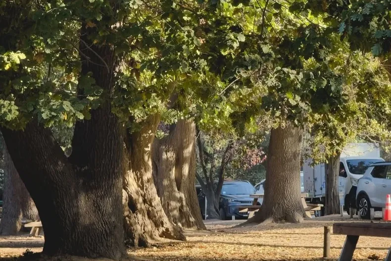 18267 jardinbotanicovina.webp