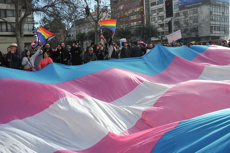 urgen cambios  ola de criticas a comision trans por sesgo ideologico y falta de representatividad.jpg