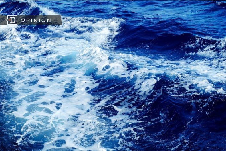 Diseno sin titulo 61.png