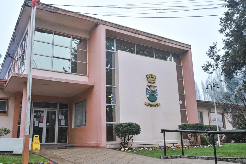 choco contra un arbol por gravilla y aceite en calle municipio debera pagarle 8 3 millones por mal estado de la via.webp