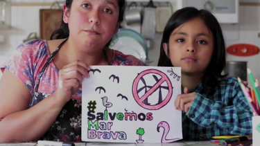 VIDEO| #SalvemosMarBrava: Comunidad advierte riesgos de la instalación de proyecto eólico de Ecopower