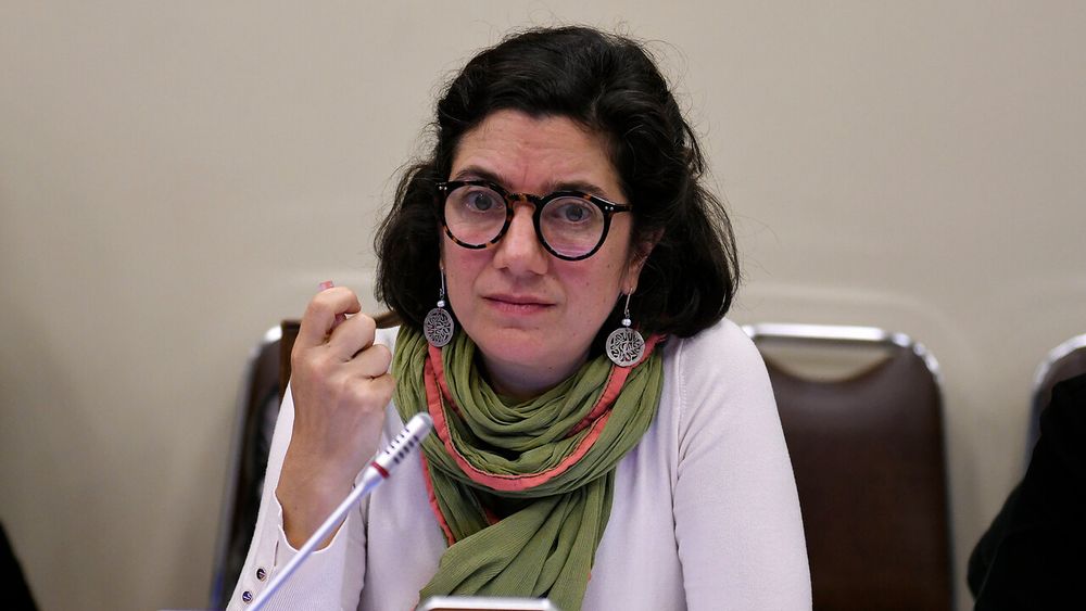 “Indignación por la falta de solidaridad”: Ministra Etcheverry criticó a los funcionarios públicos del caso licencias
