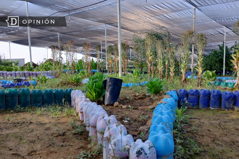 Agricultura familiar e1715480041752.png