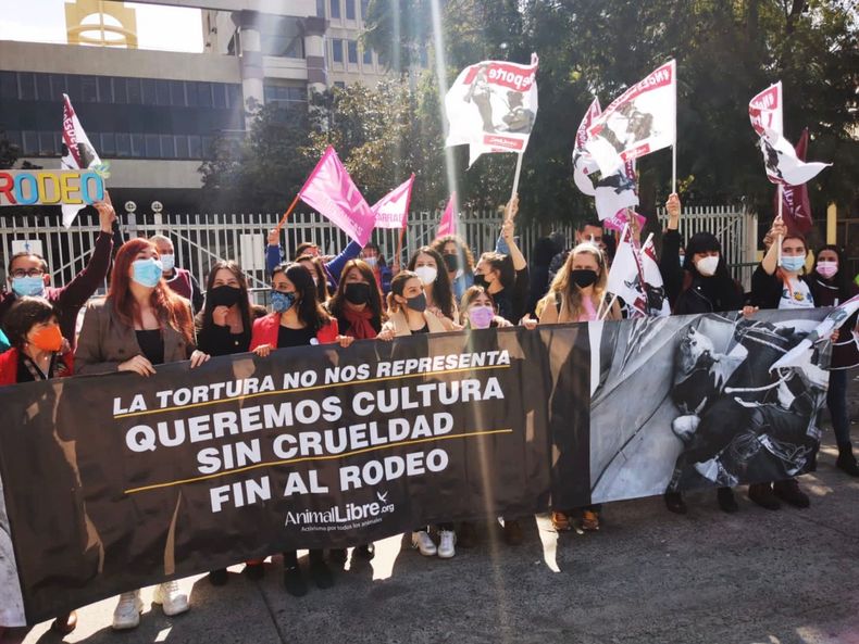 WhatsApp Image 2021 09 01 at 13.32.53.jpeg