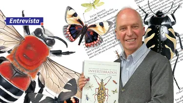 El Desconcierto | 28994 bichologo.webp