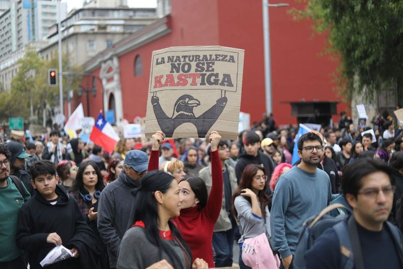 Afiche contra Kast en la marcha por el medioambiente